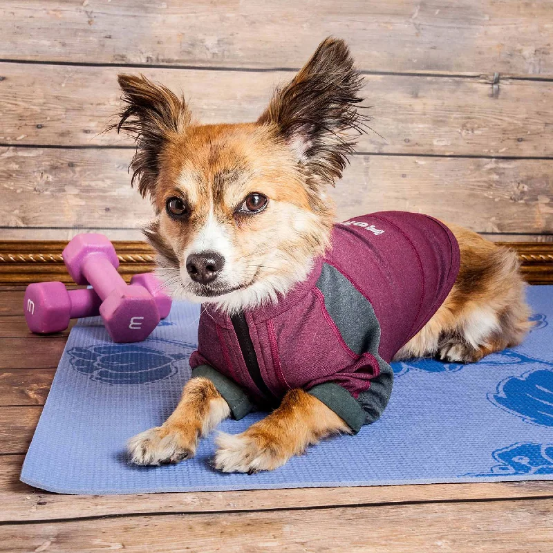 - Cat anti-jump window safety netDog Helios® Eboneflow Dog Yoga T-Shirt