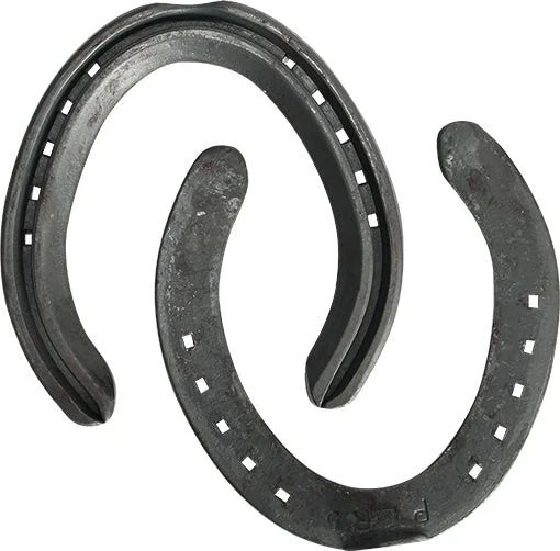 - Hamster silent running wheel to prevent chewingPerforma Toe Clip Hind Steel Horse Shoes - Hamster silent running wheel to prevent chewingPerforma Toe Clip Hind Steel Horse Shoes