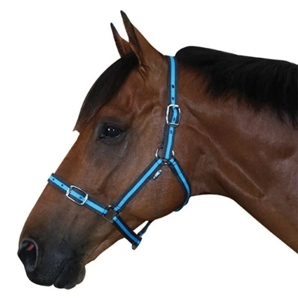 - Natural latex pet mattressDerby Economy Halter
