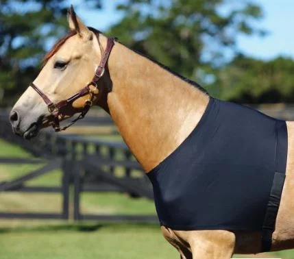 Pet ProductsHorsemaster Lycra Shoulder Guard