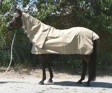  -Non-contact cat thermometerSkye Park Celsius Showerproof Neck Rug