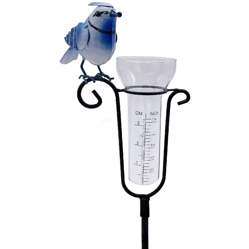 - Custom pet birthday cakeBlue Jay Rain Gauge with Stake