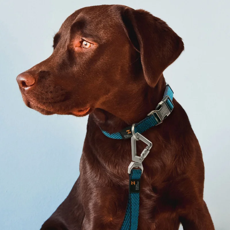 - Pet tear stain cleaning wipesPet Life® Escapade 2-in-1 Leash & Collar