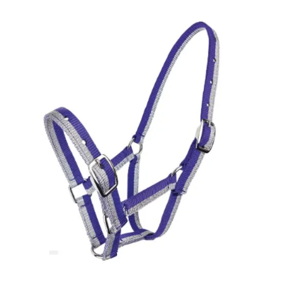 Silver/Purple