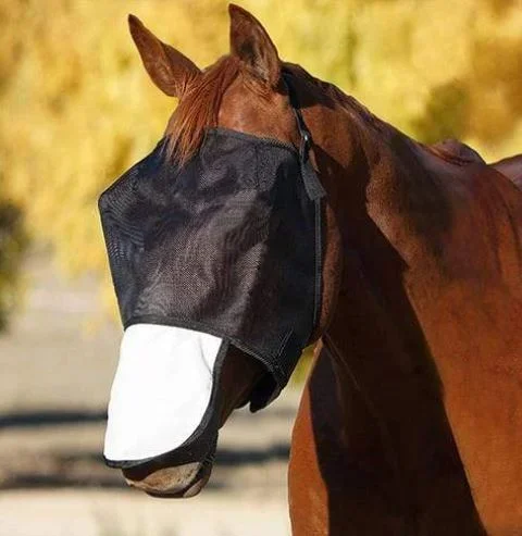  -Anti-scratch sofa protective coverFBD Fly Veil Mesh Standard Nose