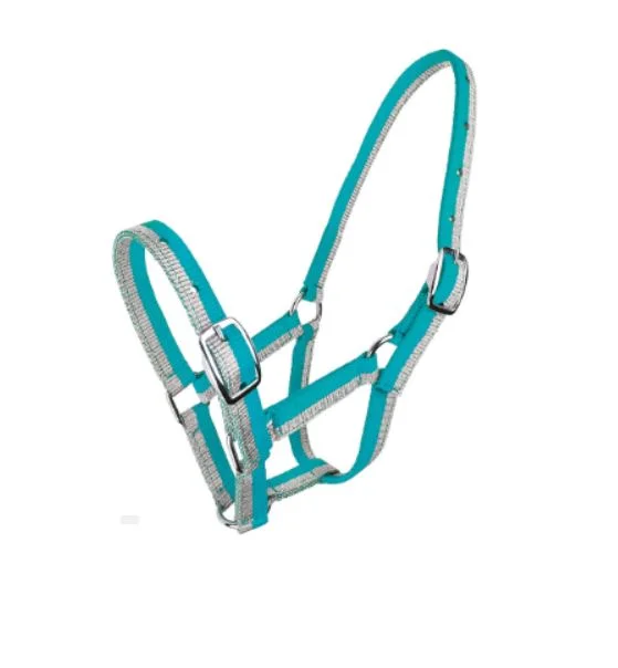 Silver/Turquoise