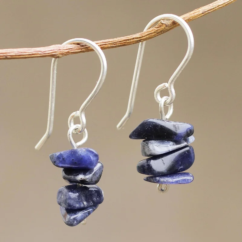 - Summer pet ice matNature's Harmony Sodalite Beaded Earrings