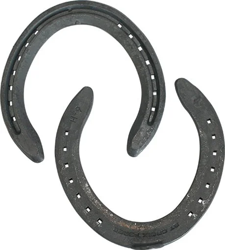- Remote interactive pet feederConcorde Steel Toe Clip Hind Steel Horse Shoes