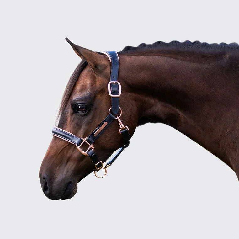 - Rabbit grass rack to prevent waste food boxLumiere Hollywood Leather Halter