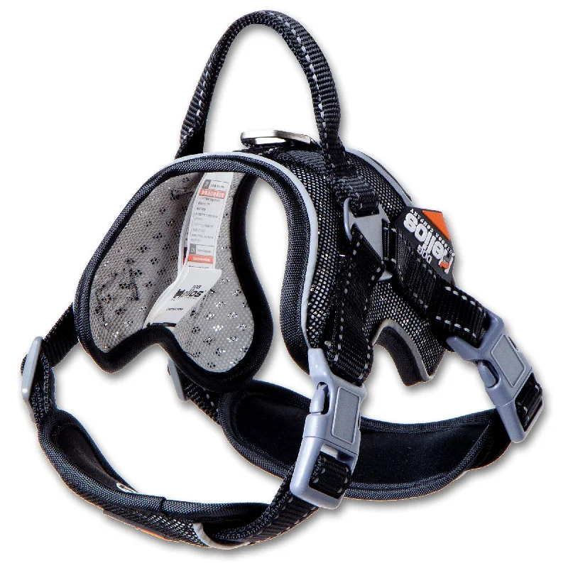 - Summer pet ice matDog Helios® Scorpion Sporty Dog Harness
