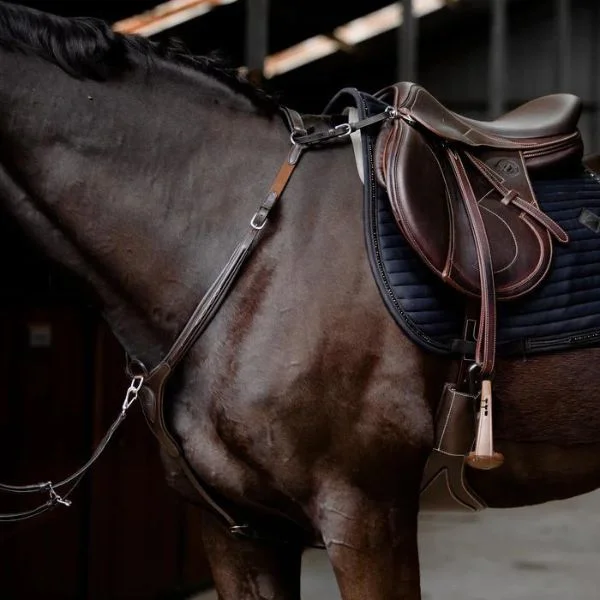 - Foldable and portable cat bagLumiere Victory 3-Point Leather Breastplate