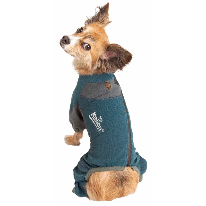 - Dog heart rate monitoring collarDog Helios® Rufflex Dog Warmup Track Suit