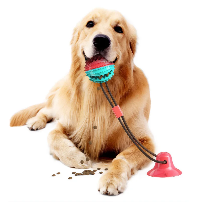 - Pet vitamin complex nutrition tabletsPet Life® Grip N' Play Treat Dispenser Toy