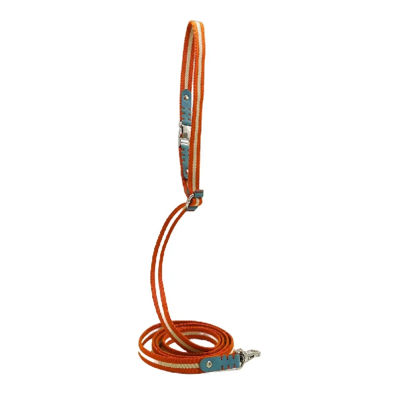 - Parrot climbing and standing wooden frameMulti Nubuck Celestial Dog Leash