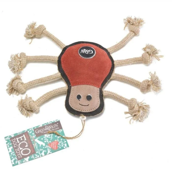 - Parrot toy selectionGreen & Wilds | Eco Dog Toy - Spike the Spider