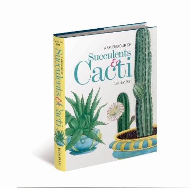 - Deodorizing cat litter tofu litterA Splendour of Succulents & Cacti