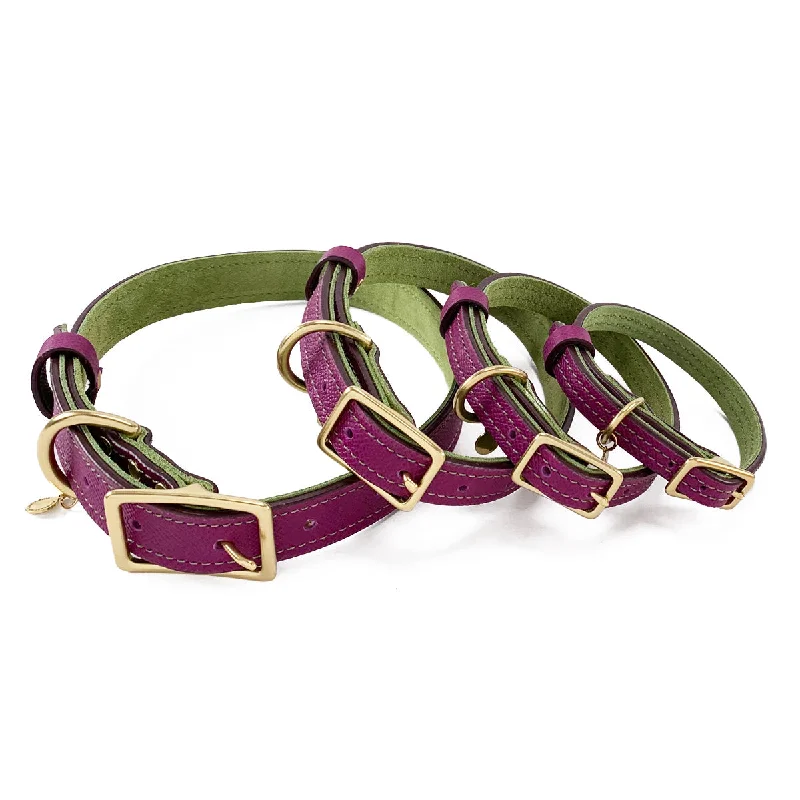 - Deodorizing cat litter tofu litterMardi Gras Classic Leather Dog Collar Amethyst/Basil