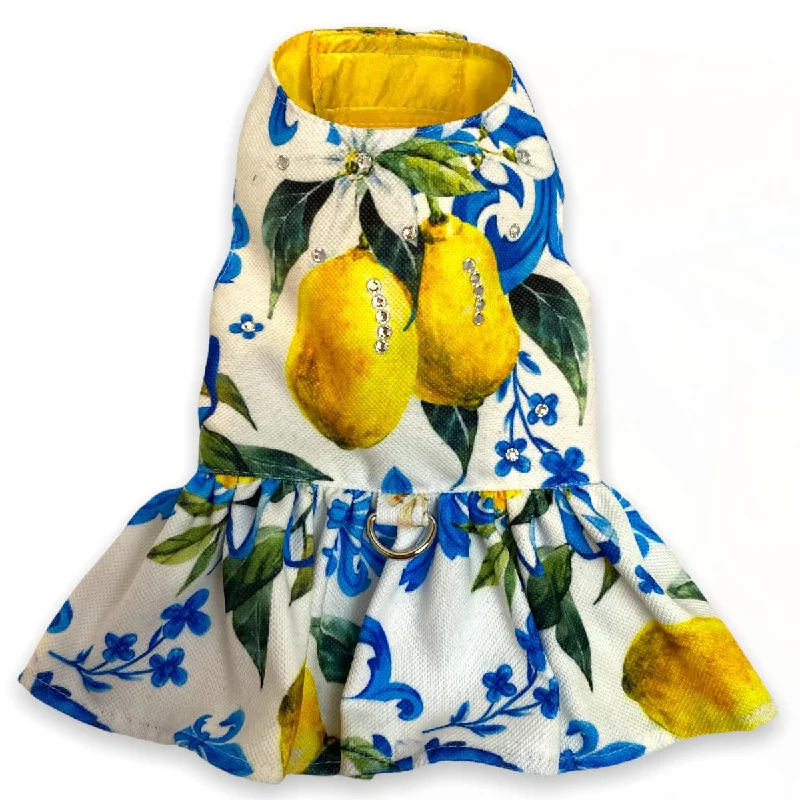 - Pet fence foldable indoorFor Love Of Lemons Dog Dress
