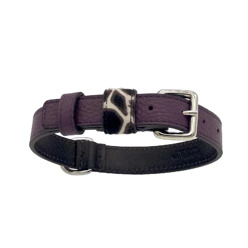 - Pet monitor with cameraLilac Desert Dog Collar