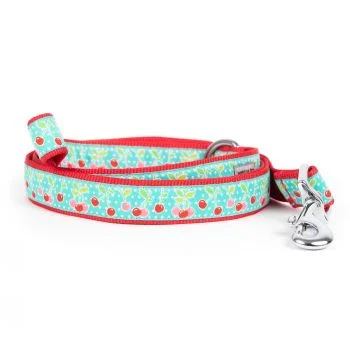  . **Dog snack bag is portable**Cherries Dog Lead