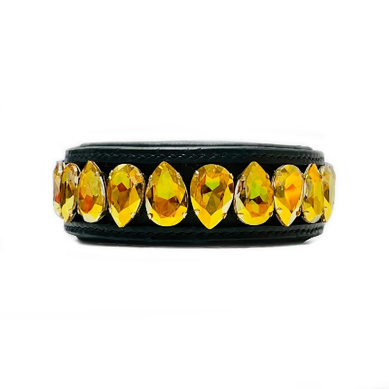 Pet ProductsLiz Big Dog Collar Metallic Sunshine
