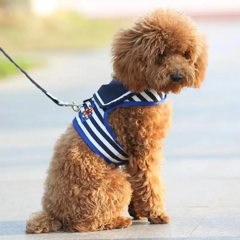 Blue navy