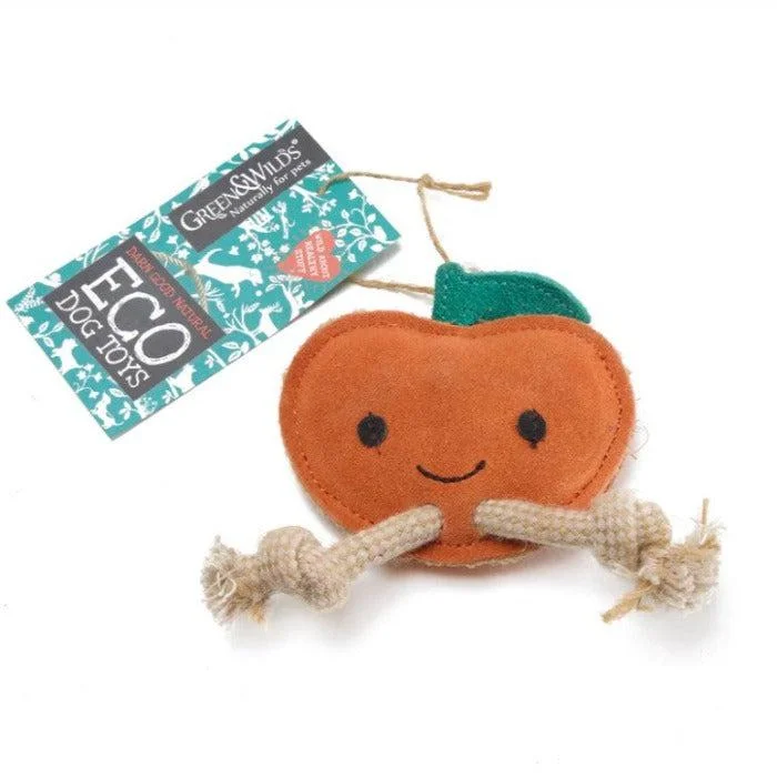 - Bird toy recommendationsGreen & Wilds | Eco Dog Toy - Sancho the Satsuma