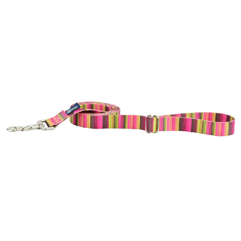 - Dog disposable foam shower gelBonnie EarthStyle Dog Leash