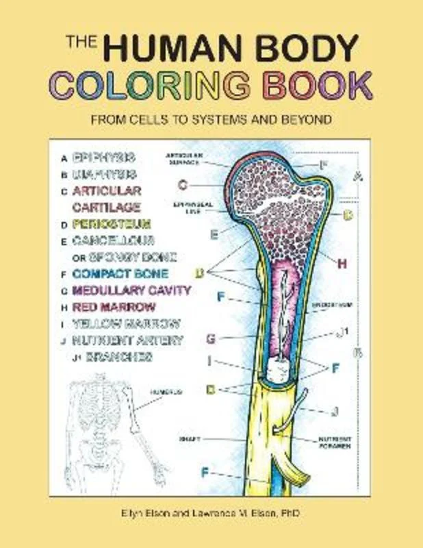 Pet ProductsThe Human Body Coloring Book