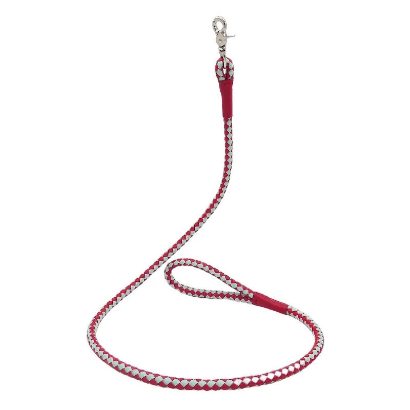 - Teething and chewing toys for puppiesLoop Dog Leash