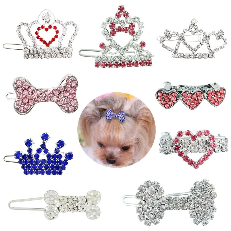 - Parrot climbing and standing wooden frameAnniepaw Crystal Rhinestone Dog Hair Clip - Parrot climbing and standing wooden frameAnniepaw Crystal Rhinestone Dog Hair Clip