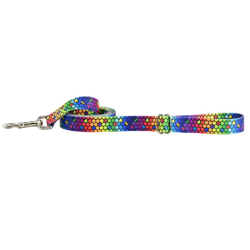  -Anti-scratch scratching board AND cat bed in oneROY G BIV EarthStyle Dog Leash