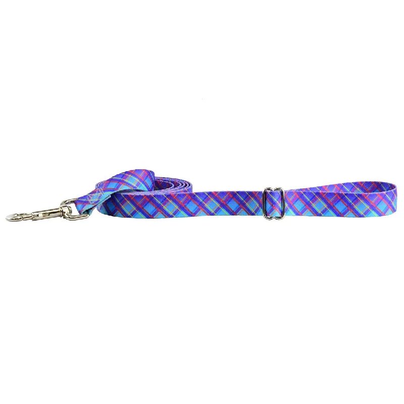  -Anti-slip claw protection raincoat FOR dogsTwilight Glow Blue Plaid EarthStyle Dog Leash