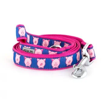  . **Cat backpack space capsule**Wilbur Pig Dog Lead