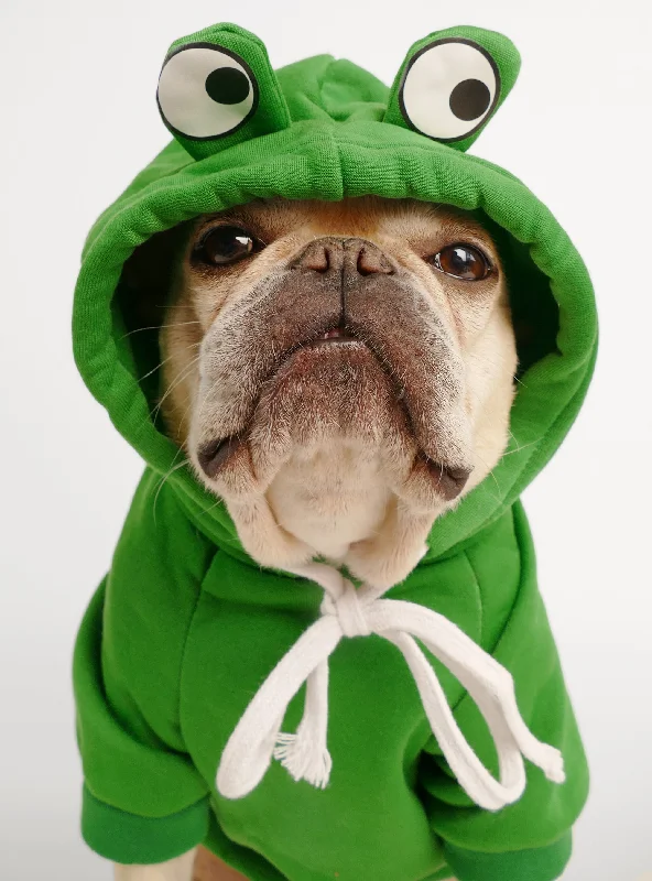 XX brand pet fashionFrog Prince Dog Costume