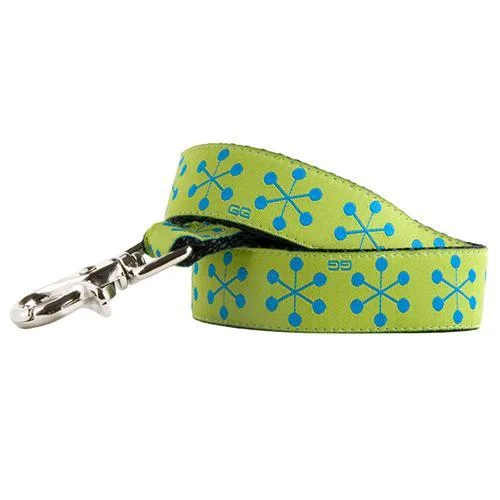 - Remote interactive pet feederJackson Green Dog Leash 1" x 5'