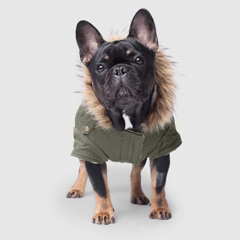 Pet birthday party clothesAlaskan Army Parka