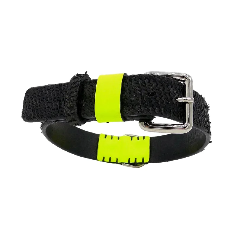 - Pet smart GPS locatorScale And Fluo Dog Collar