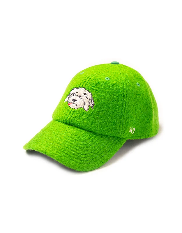- Smart cat litter box with automatic cleaningSHAGGY DOG BASEBALL CAP - KELLY