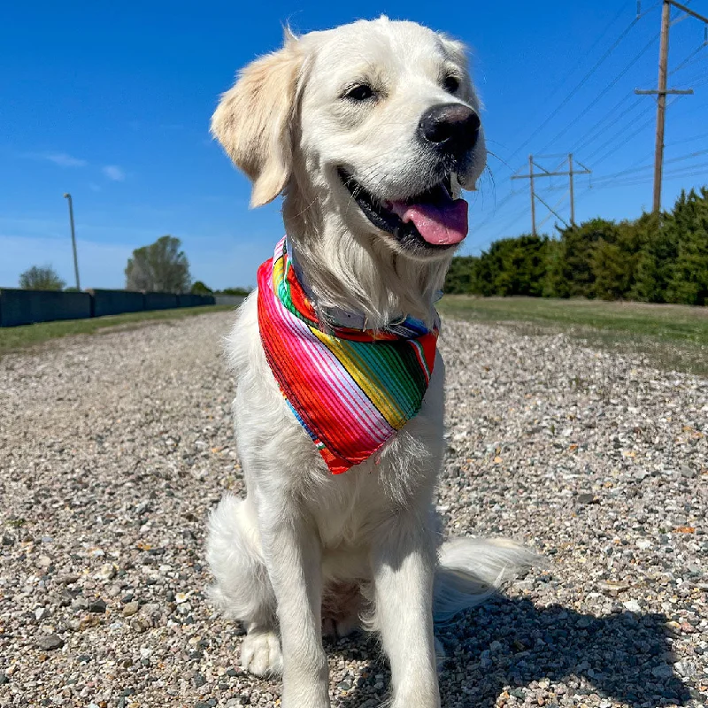 - Dog anti-slip matDog Bandana | Festive Serape