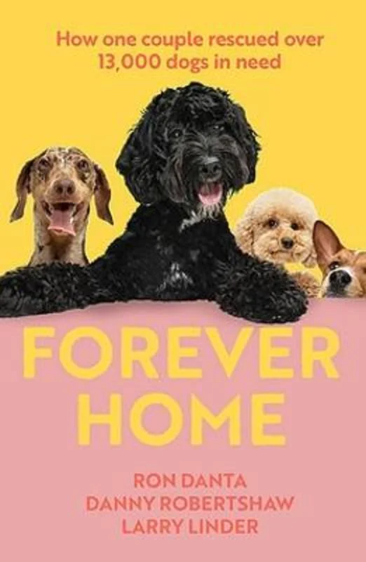 - Postoperative pet anti-licking Elizabethan collarForever Home