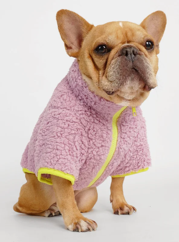Pet Christmas clothesThe Aspen Dog Sweater