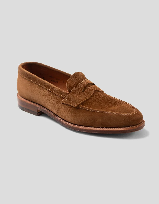 - Pet vitamin complex nutrition tabletsALDEN SNUFF SUEDE UNLINED PENNY LOAFER - TAN