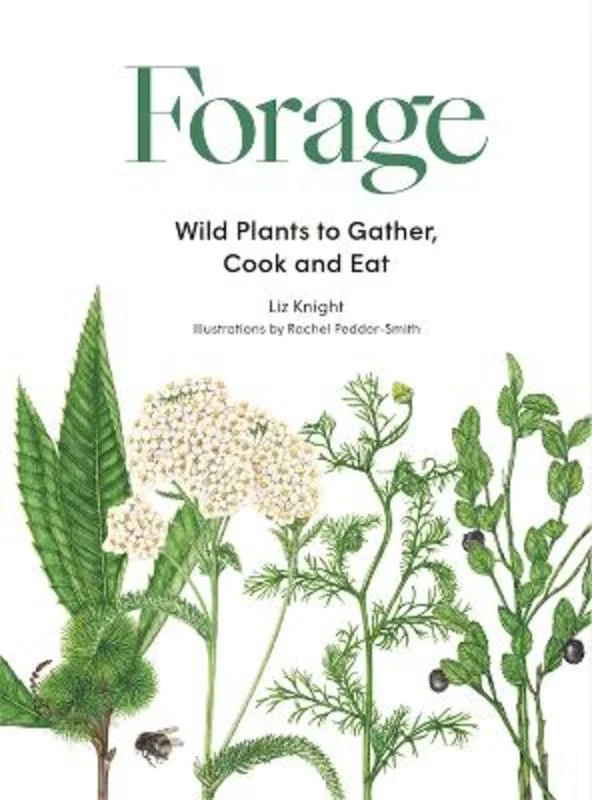 - ​​Pet toys under    yuanForage
