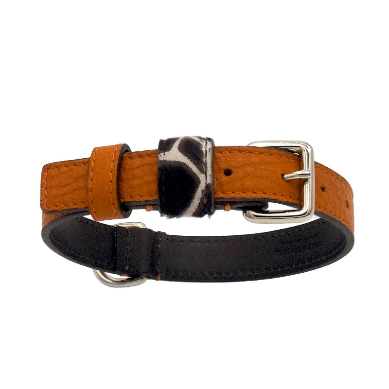 - Remote interactive pet feederOrange Desert Dog Collar
