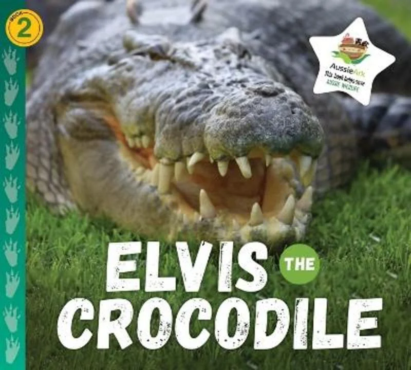  -Anti-scratch scratching board AND cat bed in oneElvis the Crocodile