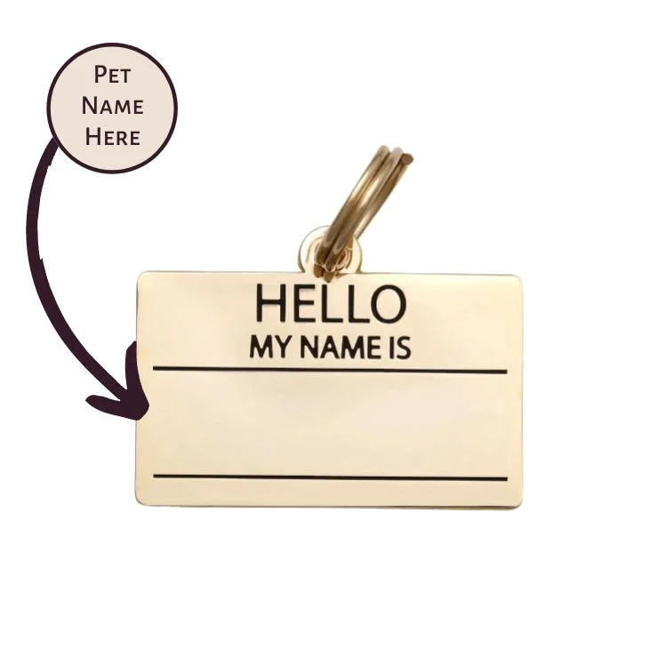- Teething and chewing toys for puppiesHello My Name is Blank - Gold - Pet ID Tag