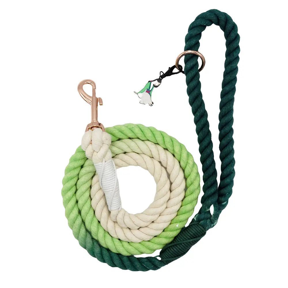 Classification by function or use:Disney Princess™ Rope Leash- Mulan
