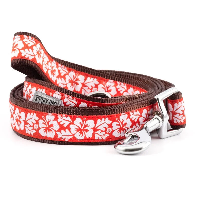  . **Pet collar with custom engraving**Aloha Dog Lead