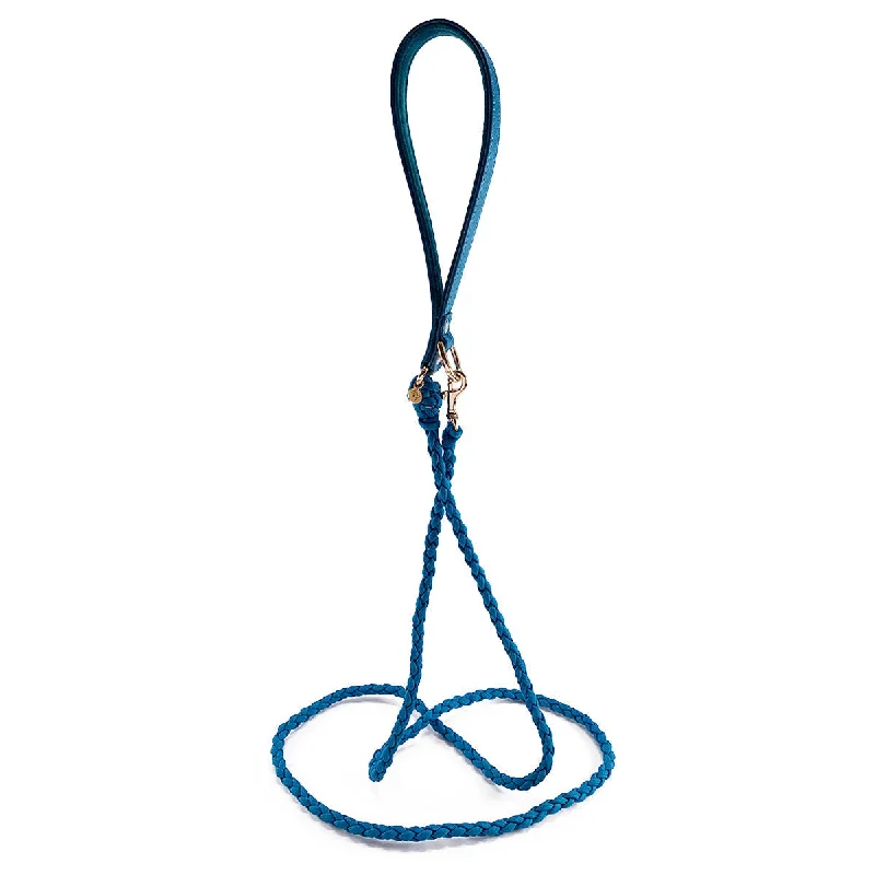 - Pregnant cat delivery room warming boxBeverly Bella Leather Dog Leash Caribbean